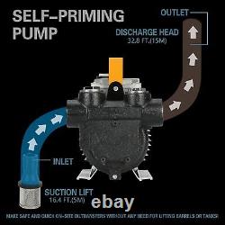 110V Electric Diesel Oil Fuel Transfer Pump with Discharge Hose & Nozzle Set