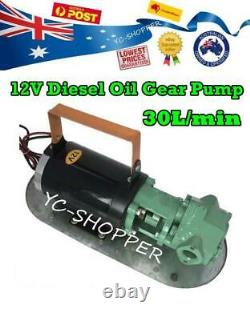 12V 550W Diesel Biodiesel Oil Transfer Fuel Gear Pump Heavy Duty 30L/min