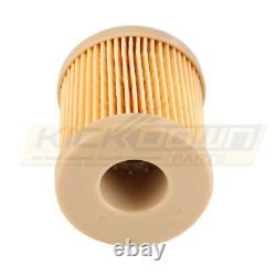 For 03-07 Ford 6.0l Fd4616 Fl2016 10 Set Powerstroke Diesel Oil Fuel Filter Kit