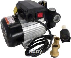 Fuel Oil Transfer Vane Pump Diesel Biodiesel Kerosene 12v/110v