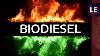 How Does Biodiesel Impact Engines