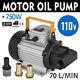 Motor Oil Pump 750w 18.5 Gpm Lubricating Diesel Fuel 3350 RPM Full Vegetable