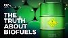 The Problem With Biofuels